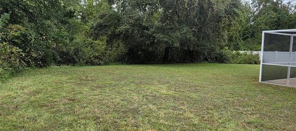 Landscaping,  Grounds & Pool Decks