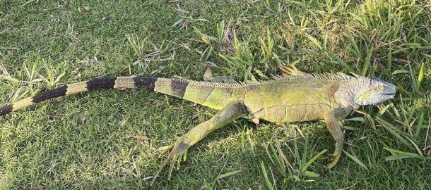 Pool Heating has limitations